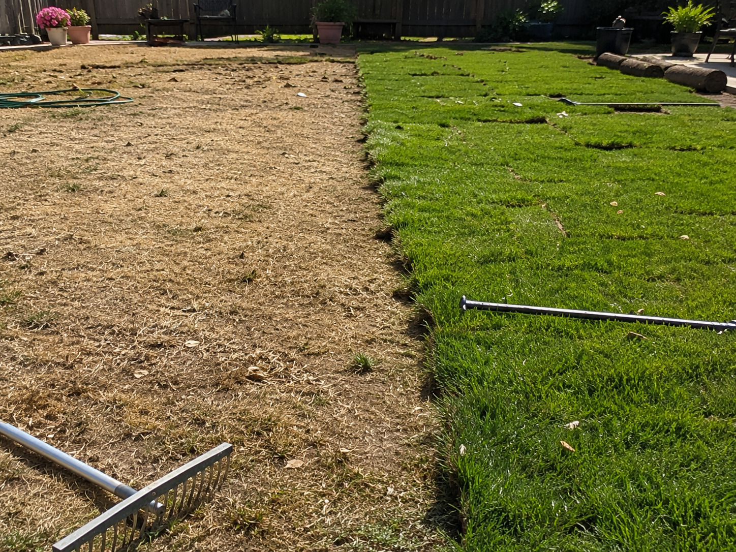Sunny backyard with new sod next to dry lawn being replaced